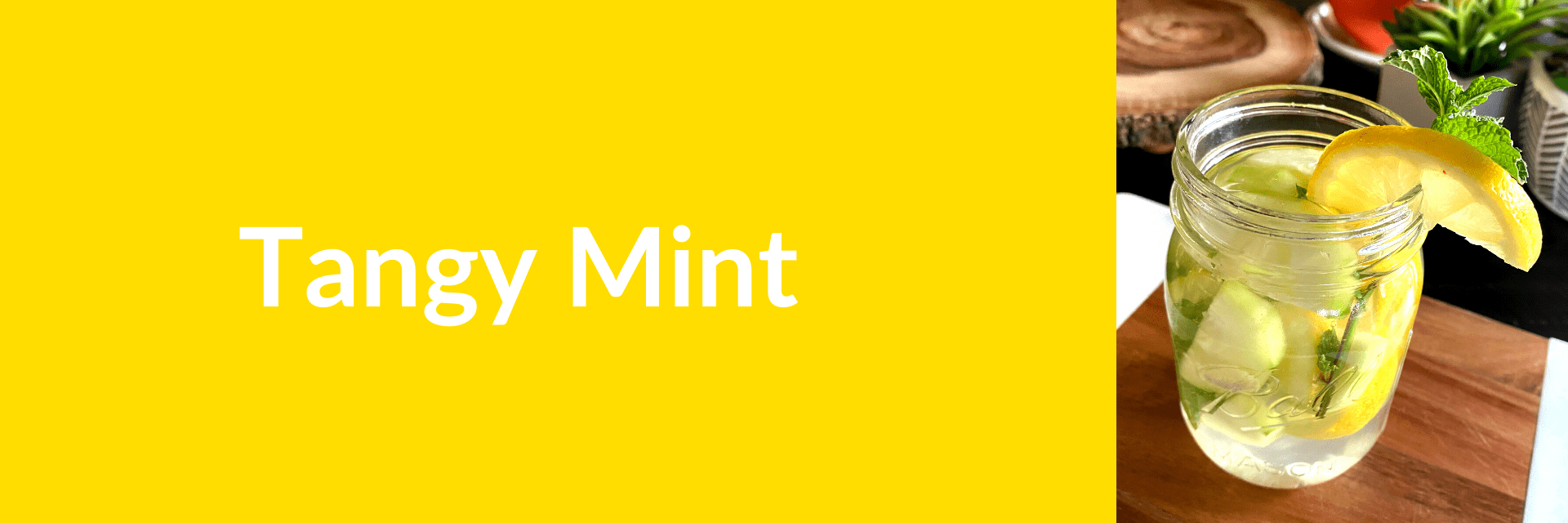 tangy mint banner