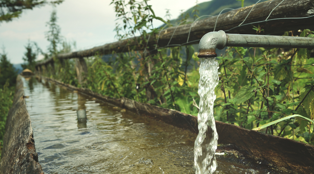 Is raw water good for you? We don’t think so.